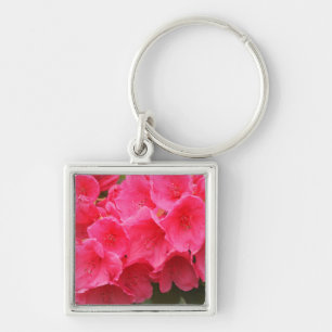 Washington, Seattle, Puget Sound, Discovery Park Key Ring