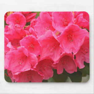 Washington, Seattle, Puget Sound, Discovery Park Mouse Pad