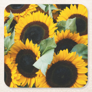 Washington, Seattle, Sunflower for sale pike Square Paper Coaster