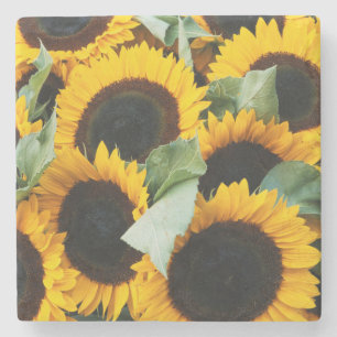 Washington, Seattle, Sunflower for sale pike Stone Coaster