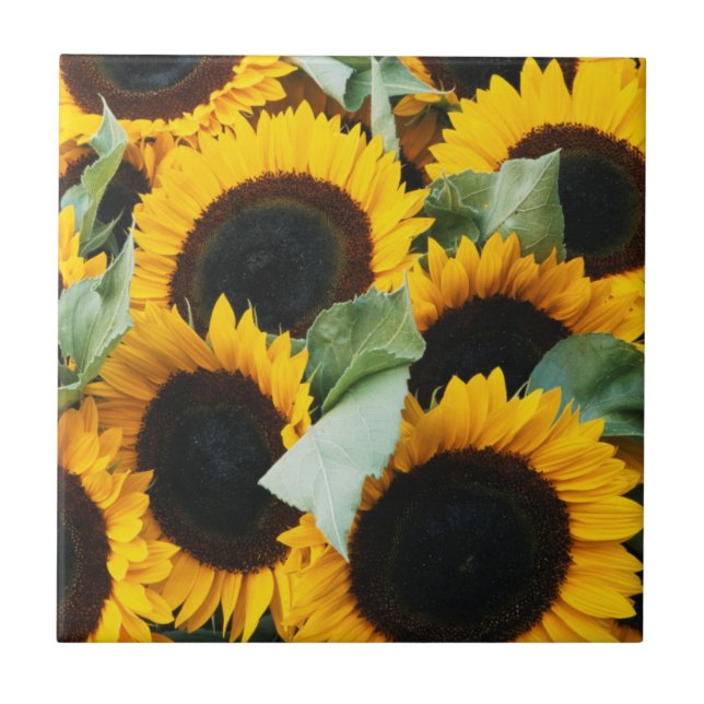 Washington, Seattle, Sunflower for sale pike Tile (Front)