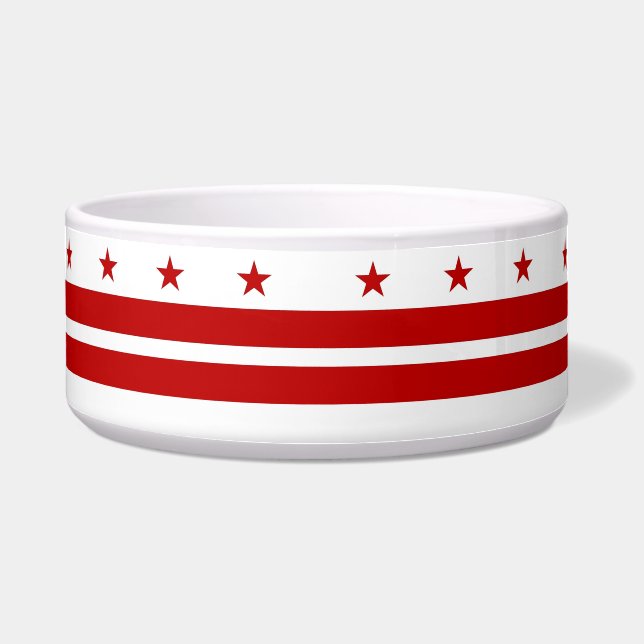 Washington State Flag Pet Bowl (Front)