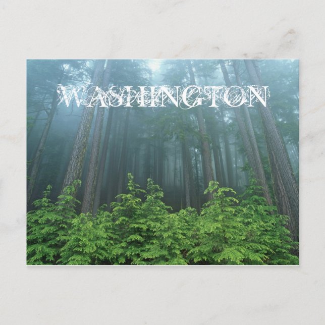 Washington State Post Card (Front)