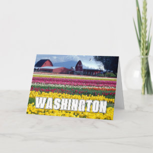 Washington State Tulip Field Happy Birthday Card