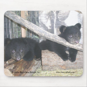 Washington Twins 2009 Mousepad