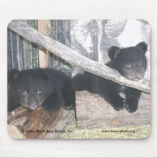 Washington Twins 2009 Mousepad