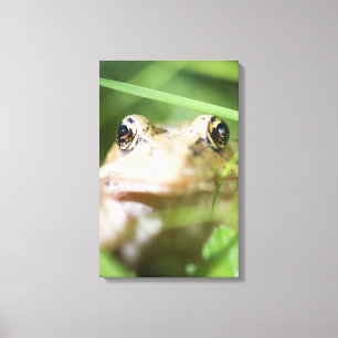 Washington, USA 2 Canvas Print