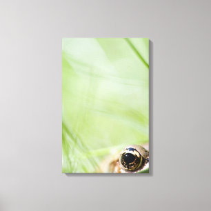 Washington, USA Canvas Print