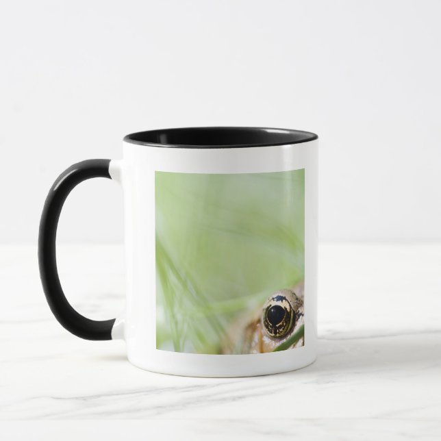 Washington, USA Mug (Left)