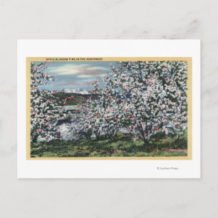 Washington - View of Apple Trees in Blossom Postcard