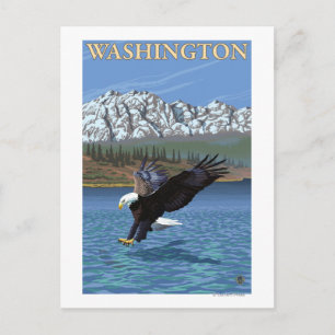 WashingtonDiving Eagle Postcard