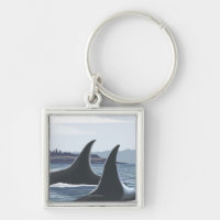 WashingtonOrca Fins