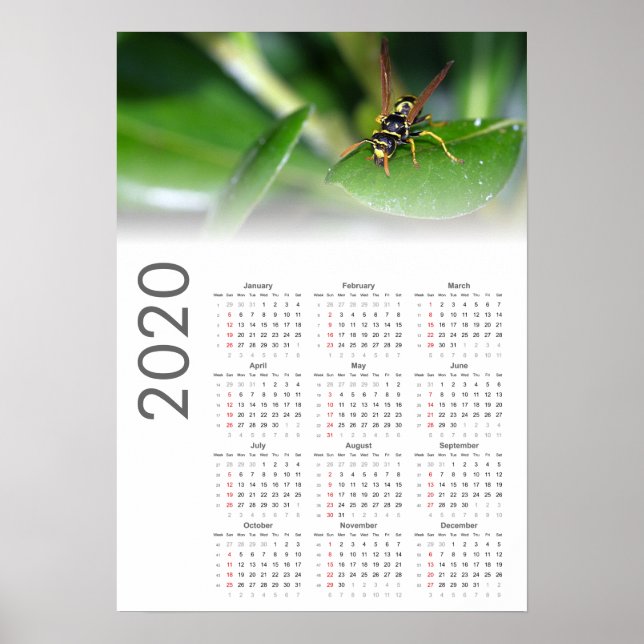 Wasp Calendar 2020 Poster (Front)
