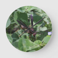 Wasp Clock