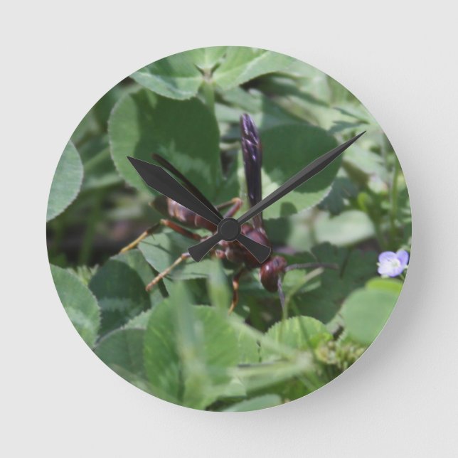 Wasp Clock (Front)