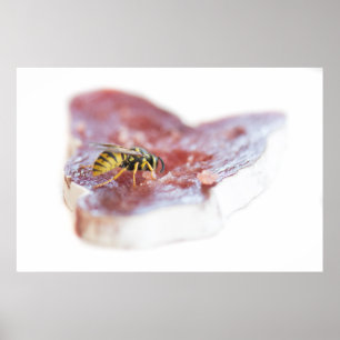 Wasp eating a sausage poster