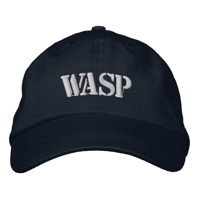 WASP EMBROIDERED BASEBALL CAP (Front)