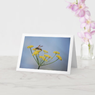 Wasp Pollinating Wild Fennel Portrait Card