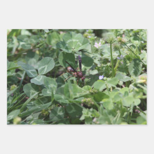 Wasp Wrapping paper sheets