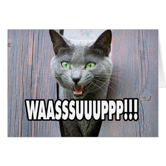 WASSUP - Cat Meme (Front Horizontal)