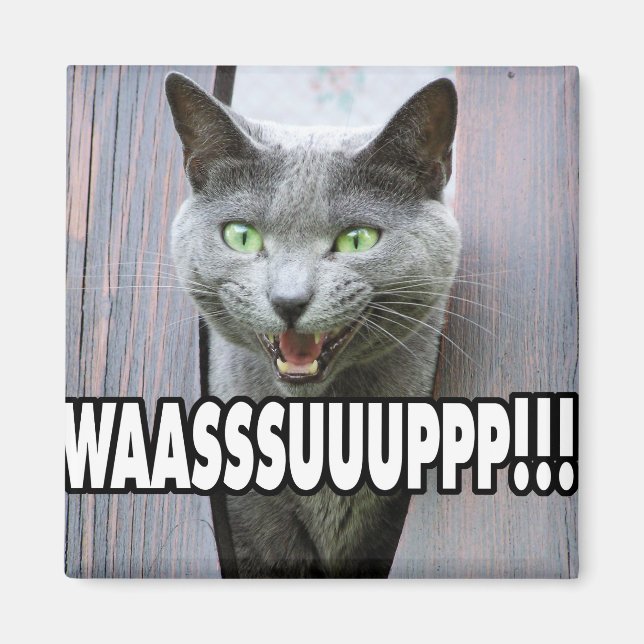 WASSUP - Cat Meme Magnet (Front)