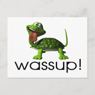Wassup Turtle Postcard