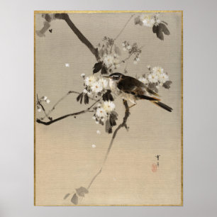 Watanabe Seitei Bird on a Flowering Branch Poster