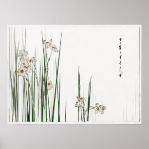 Watanabe Seitei Jonquil Illustration from Bijutsu Poster