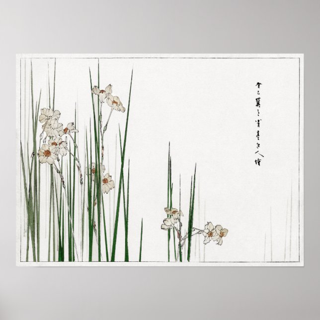 Watanabe Seitei Jonquil Illustration from Bijutsu  Poster (Front)