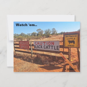 Watch 'em postcard