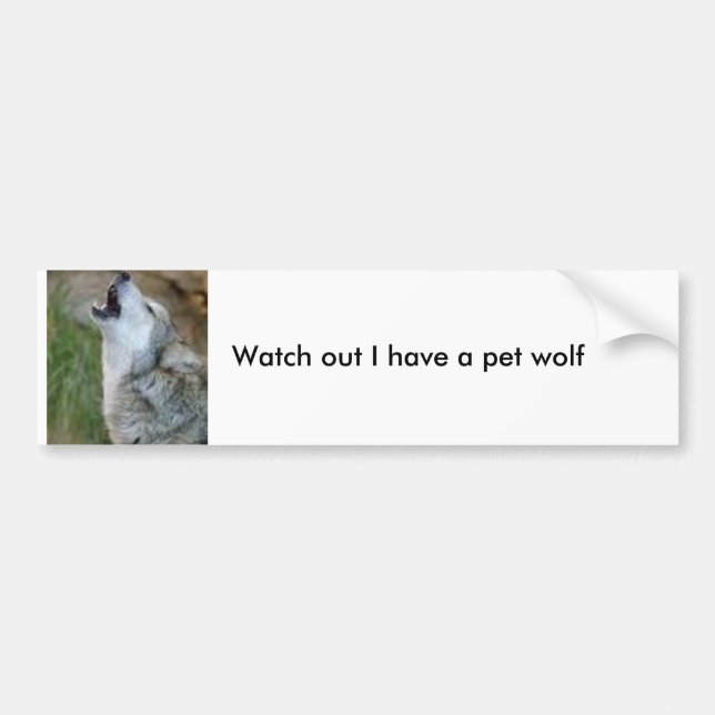 Watch out I have a pet wolf Bumper Sticker (Front)
