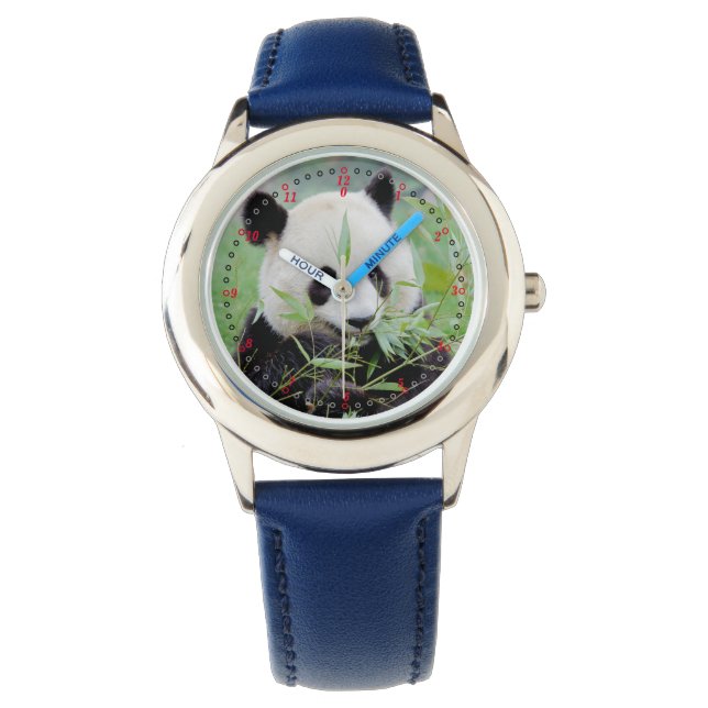 Watch Photo giant panda , animals 0385. (Front)