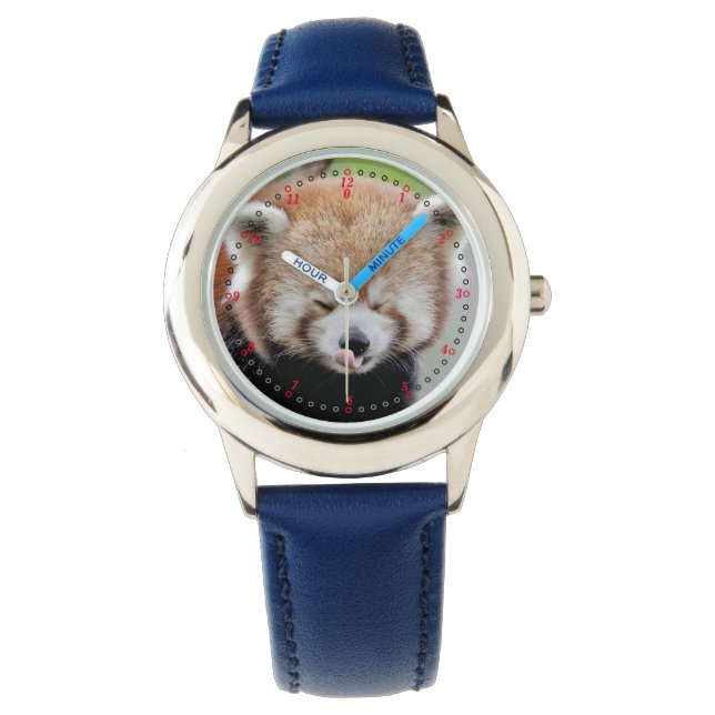 Watch Photo red panda , animals 0601. (Front)