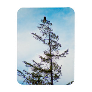 Watch Tower Magnet