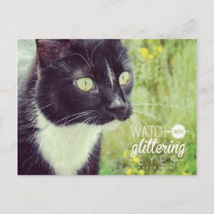 Watch with Glittering Eyes Cat Postcard
