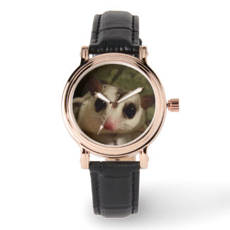 Watch with sugar glider
