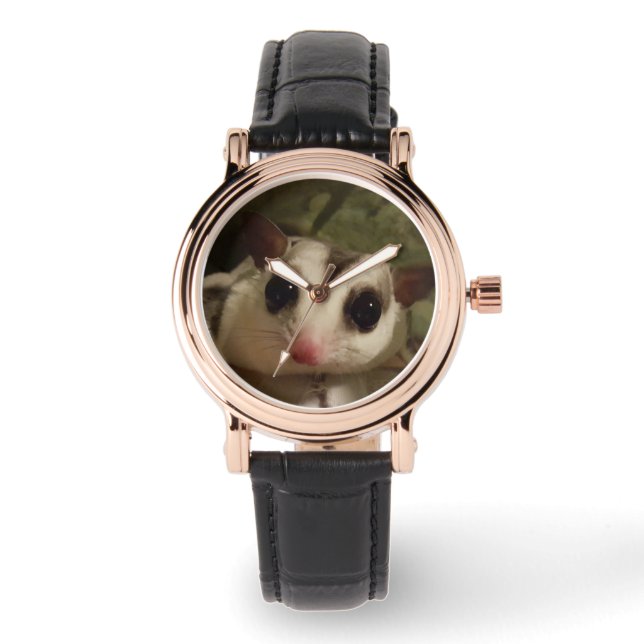 Watch with sugar glider (Front)