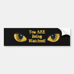 watched Bumper Sticker