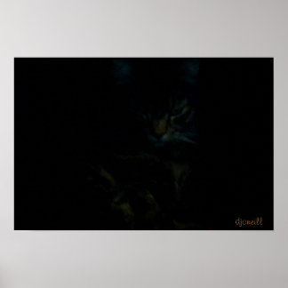 Watcher in the shadows poster