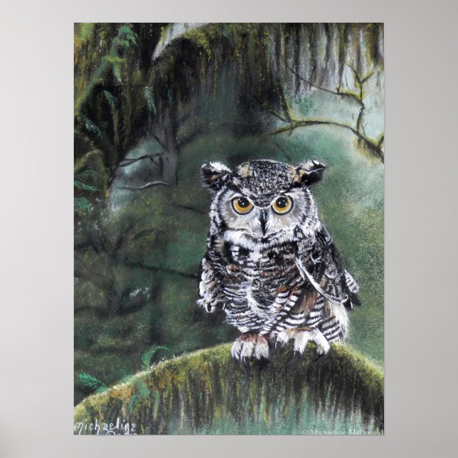 Watcher In The Woods Owl Art Print (Front)