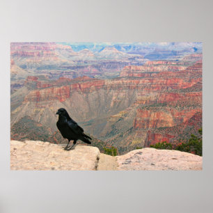 Watcher of the Canyon Poster