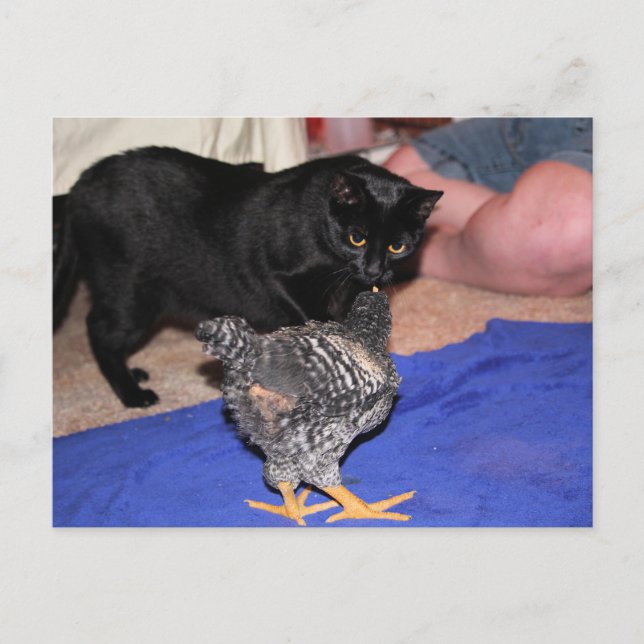 Watchers Postcard (Front)