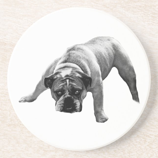 Watchful Bulldog Coaster (Front)