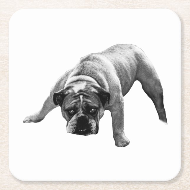Watchful Bulldog Coaster (Front)