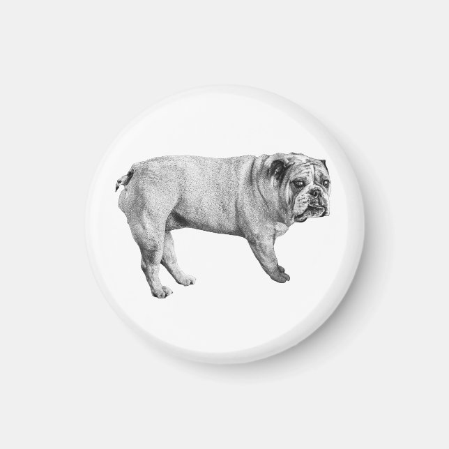 Watchful Bulldog Magnet (Front)