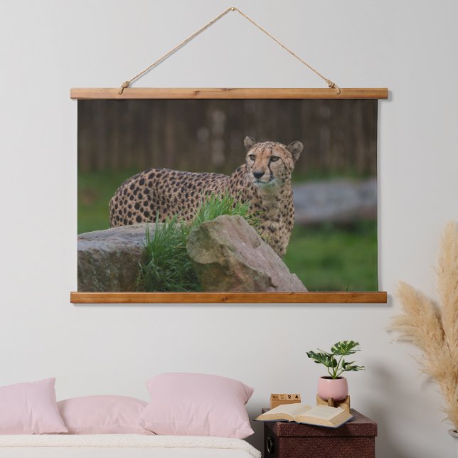 Watchful Cheetah Peeking from Behind a Rock Hanging Tapestry (Bedroom)