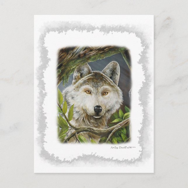 Watchful Eyes Postcard (Front)