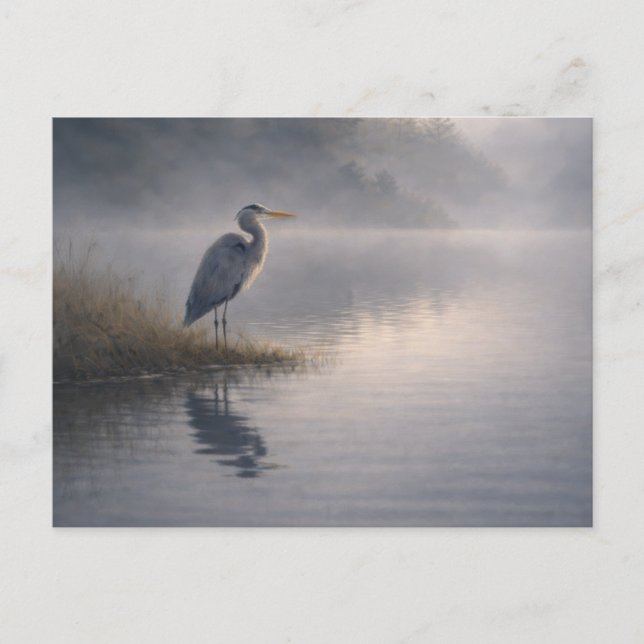 Watchful Heron | Great Blue Heron | Postcard (Front)