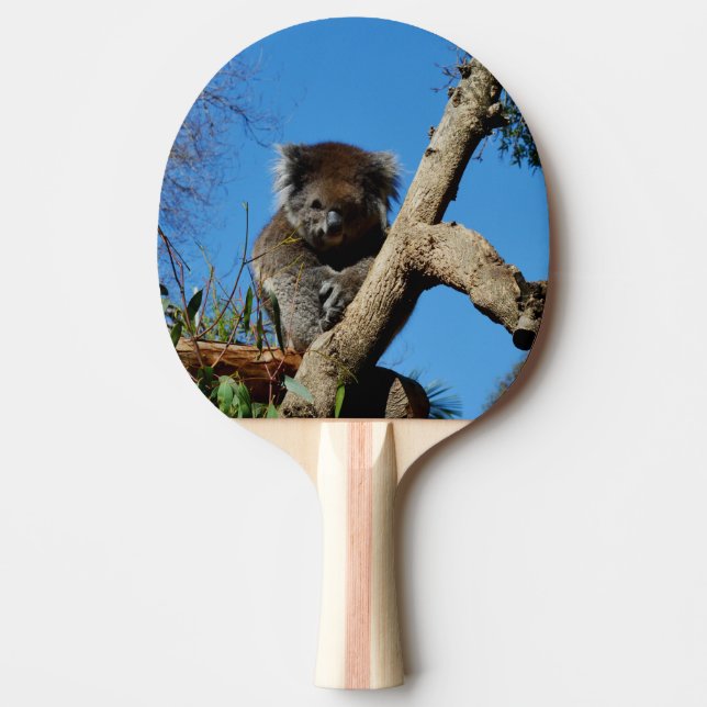 Watchful Koala Bear, Ping Pong Paddle (Front)