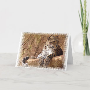 Watchful Leopard Greeting Card